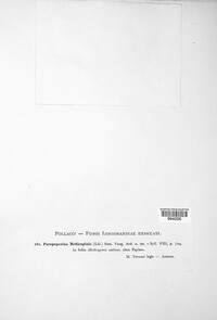 Pseudopeziza medicaginis image